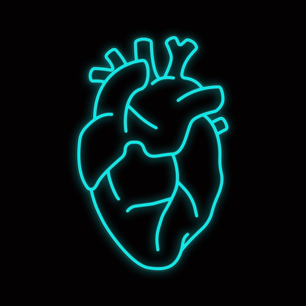 cuore anatomico NEON